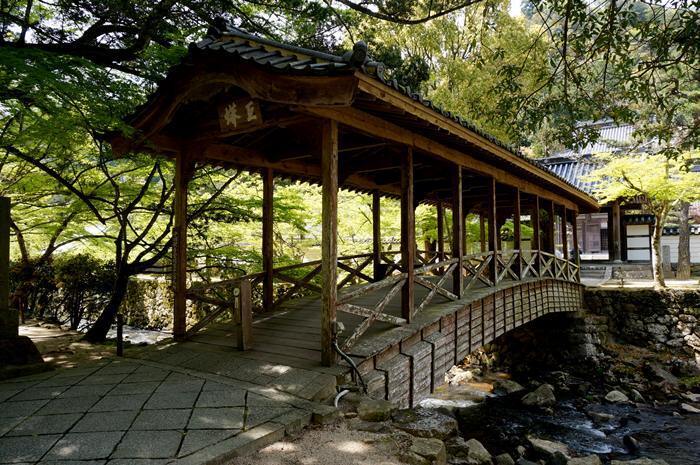 31　松山みたい.JPG