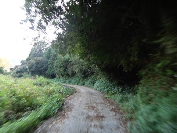 31　隣に綺麗な道があったのに.JPG