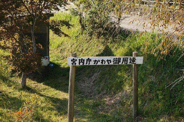 33　文法が変だけど.JPG