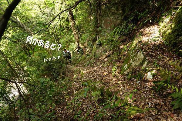 34　みんな付いてきた.jpg