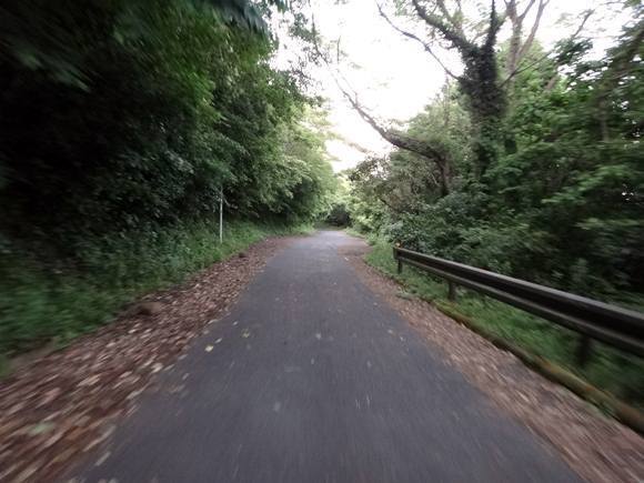 35　初めて通る鏡山のＢ面.JPG