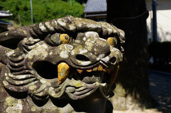 36　牙も金歯.JPG