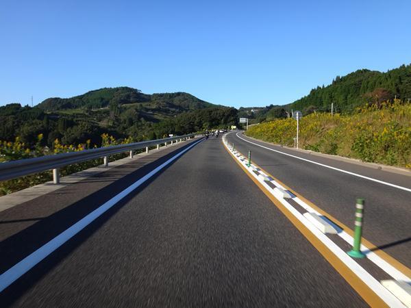 36　黄色いやつがいっぱい咲いてます.JPG