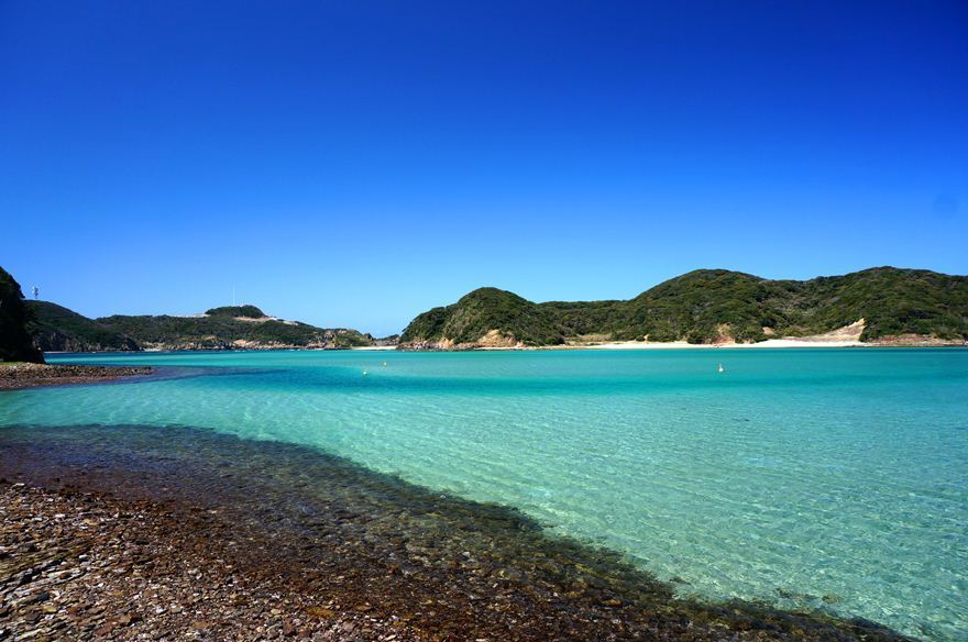 38　何ですか？日本ですか？.JPG