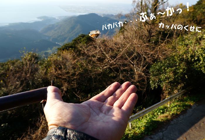 38 意地悪してみた.jpg
