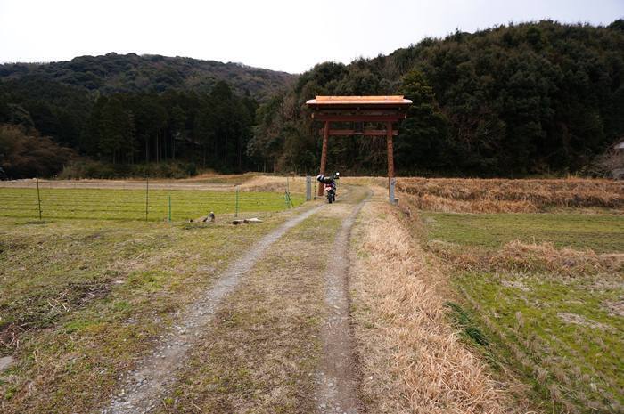 38　田んぼに鳥居.JPG