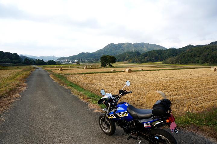 38　藁のクルクル.JPG