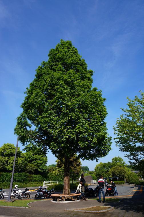 3　日田の集合場所.JPG