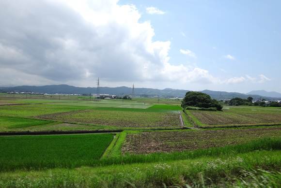 3　麦畑があったところ.JPG