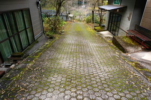 41　参道の坂.JPG