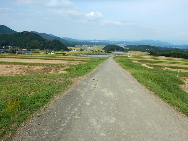 44　稲刈りの香り.JPG