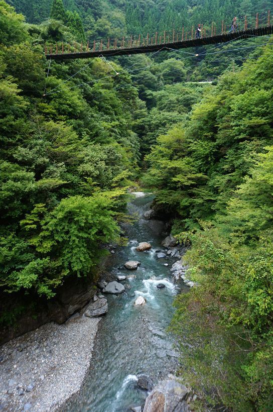 47　下の川が綺麗.JPG