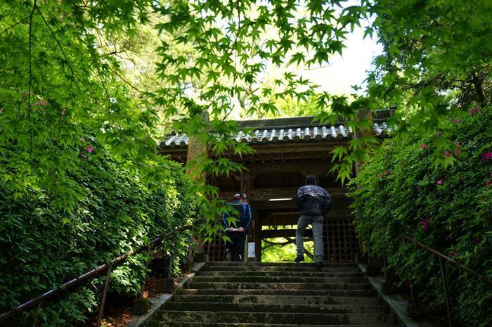 4　新緑の山門.JPG