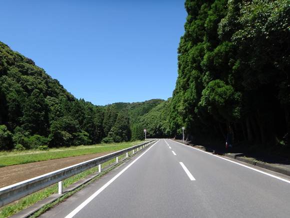 4　緑が濃い.JPG