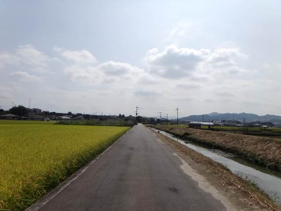 4　超マイナーな道.JPG