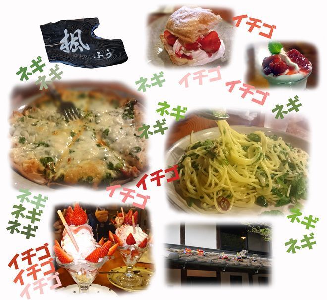 50　ネギとイチゴのお祭り.jpg