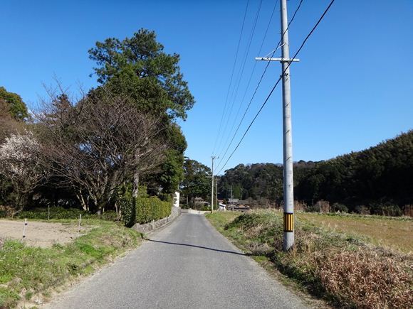 5　こんな路地をツーリングした最初のライダーはオレだ.JPG