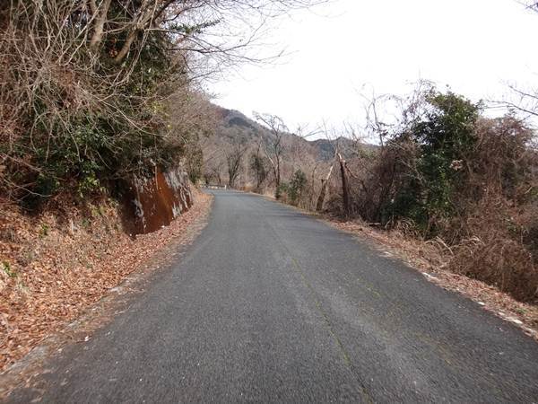 6　ちびっこバイクにベストな道.JPG