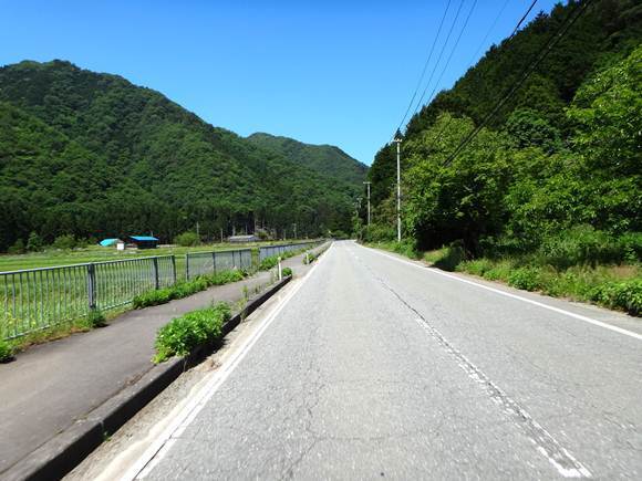 6　初夏の緑が綺麗.JPG