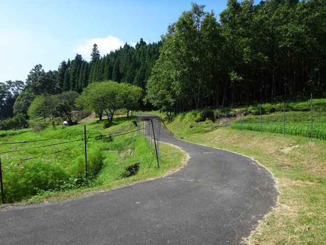 7　里山らしい風景.JPG