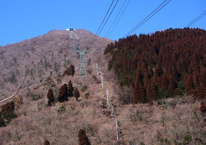 7　霧氷は無さそうだな.JPG