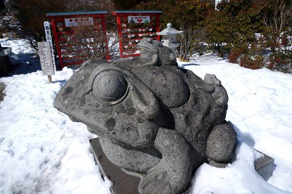 8　わくどさん.JPG