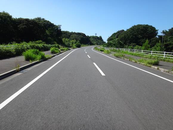 8　良い道でしょ？.JPG