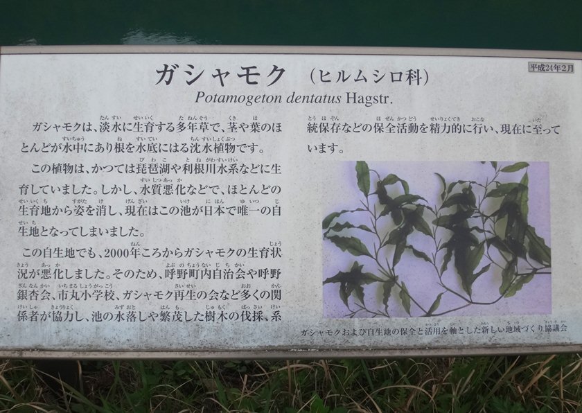 8　読んでくれ.JPG