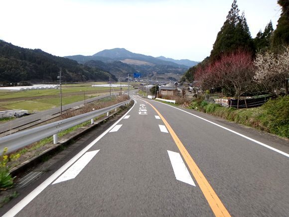 8　車いませ～ん.JPG
