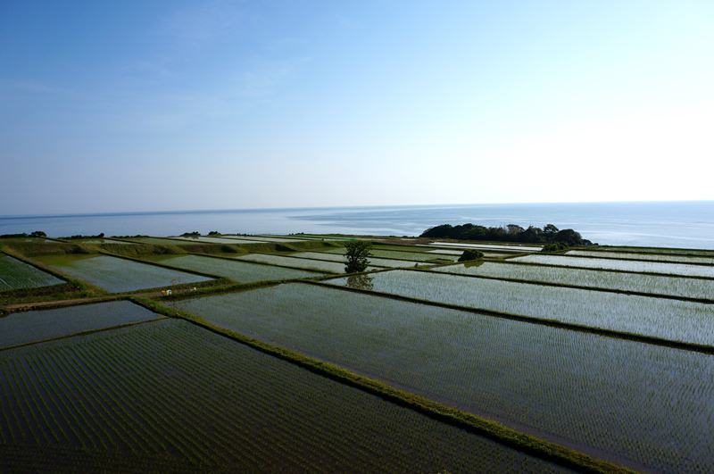9　几帳面な棚田.JPG