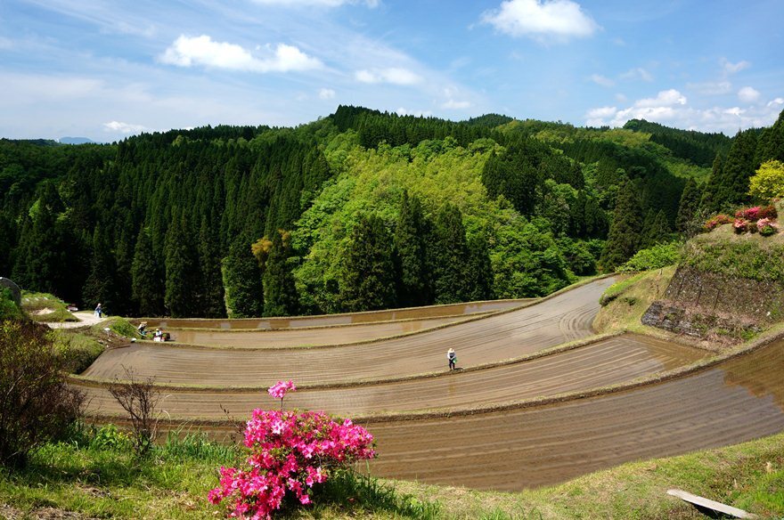 9　響が好きでやまない風景.JPG