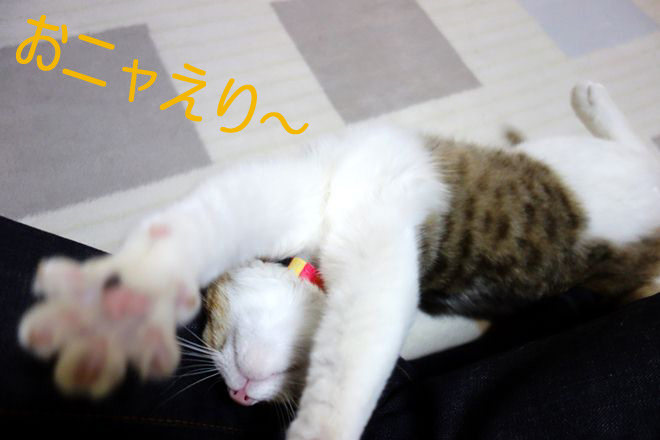B おかえり~.jpg