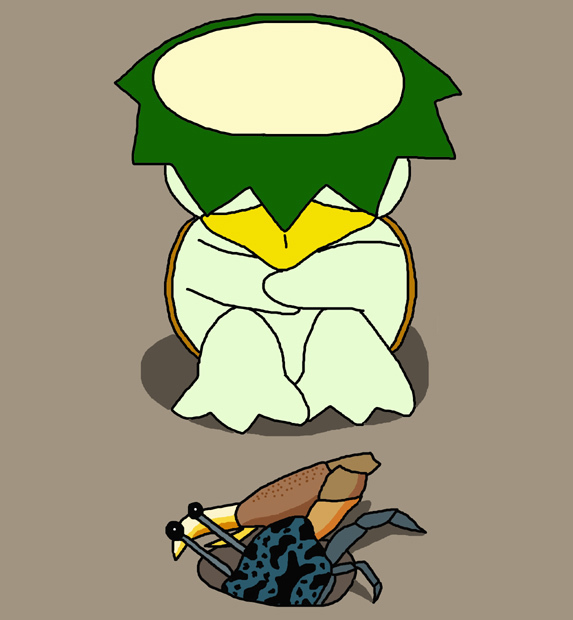 シオマネキ.jpg