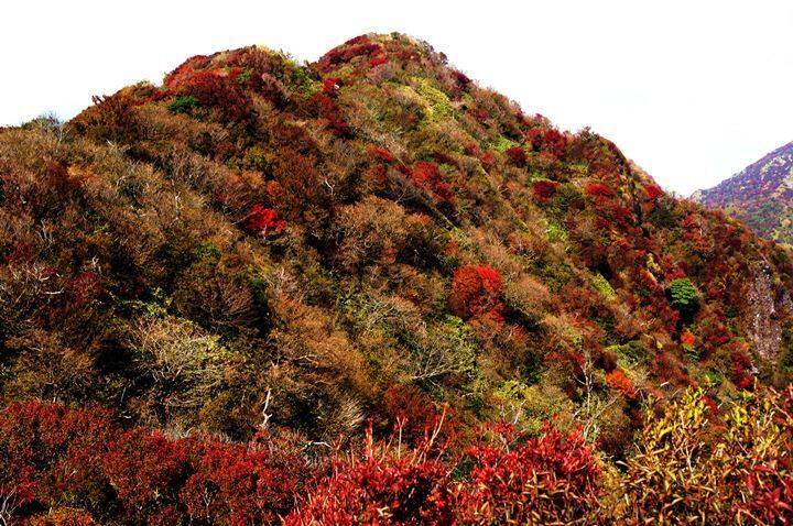 妙見岳.JPG