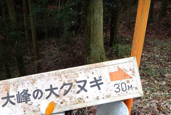 看板出てる.JPG