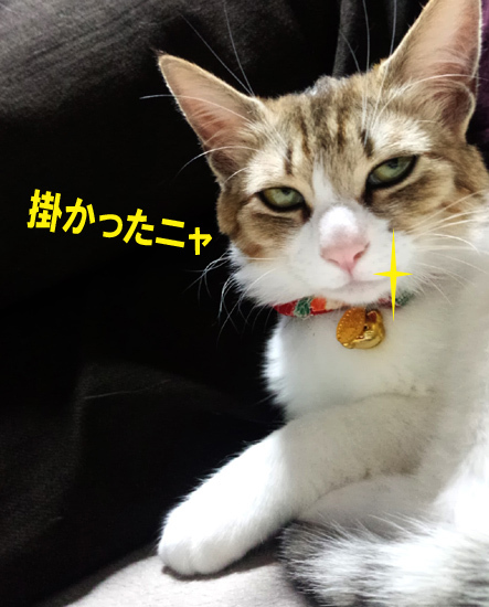 黒幕柚子.jpg